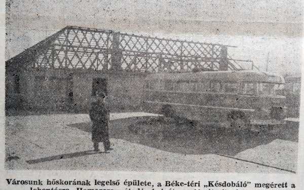 7.kép