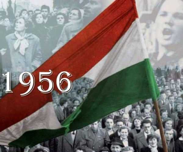 Ünnepi nyitvatartás